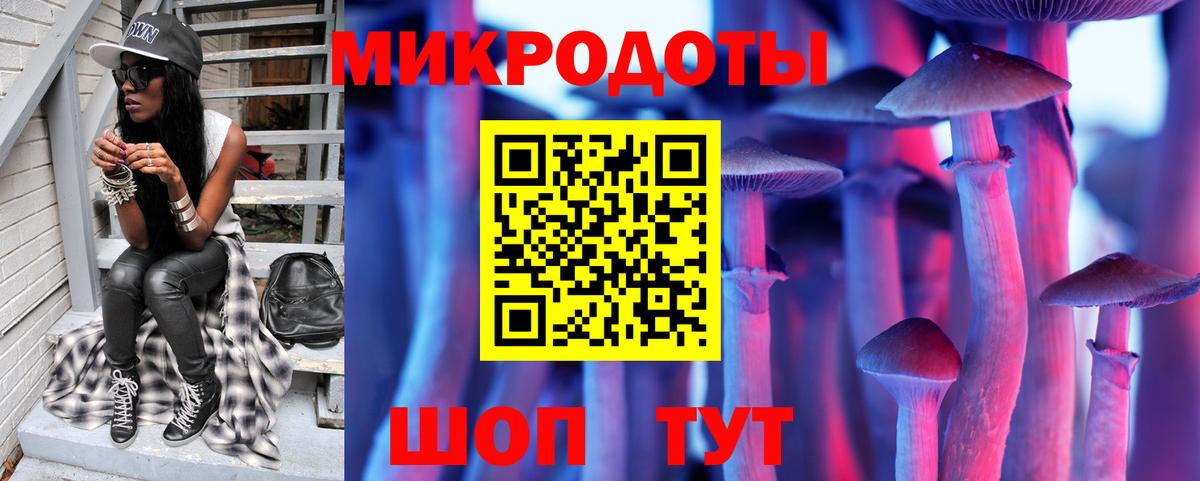 Новозыбков  Галлюциногенные грибы Psilocybe  Вход с VPN 