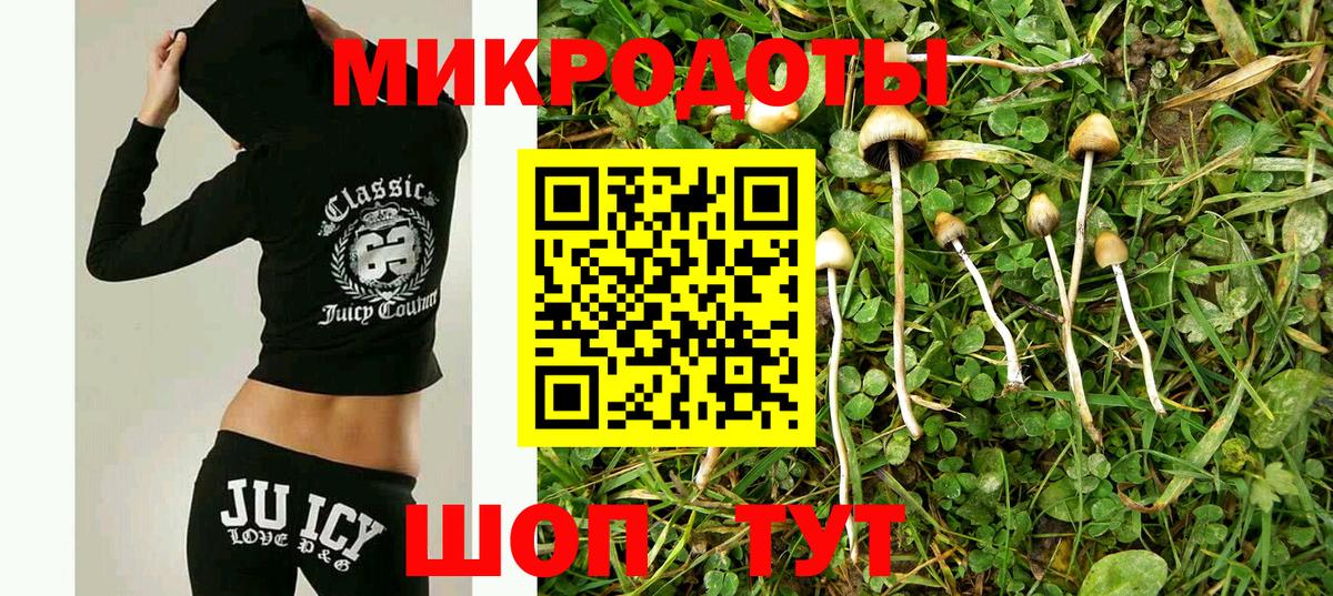 Псилоцибиновые грибы мухоморы Новозыбков
